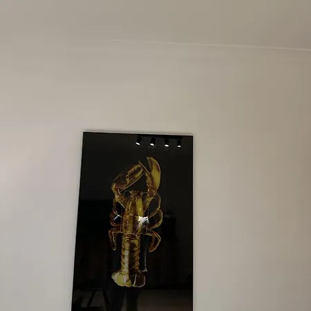 Aan Zee En Stad, Super Locatie En Volledig Gerenoveerd! Apartament Ostenda